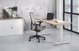 afbeelding_categorie_ergonomisch_bureau_1