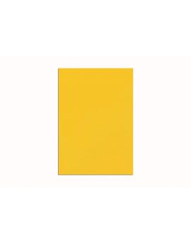 Magnetische vellen. 200 x 300 mm