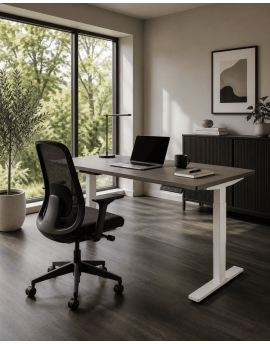 Elektrisch verstelbaar bureau, zit sta bureau, NPR bureau, ergonomisch