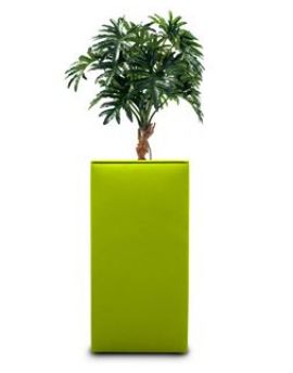akoestische plantenbak, plantenbak kantoor, groene plantenbak, rechthoekige plantenbak